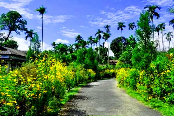 meghalaya tourism taxi fare