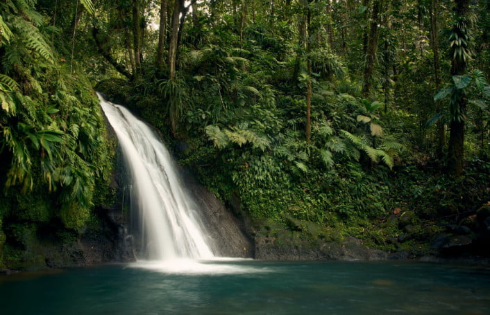 Waterfalls at Kaziranga