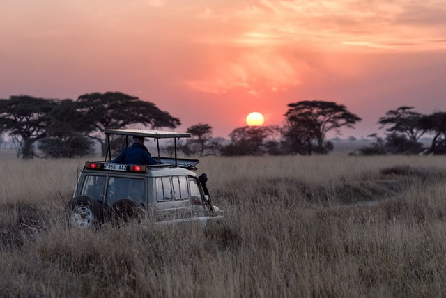 Jeep Safari at Kaziranga
